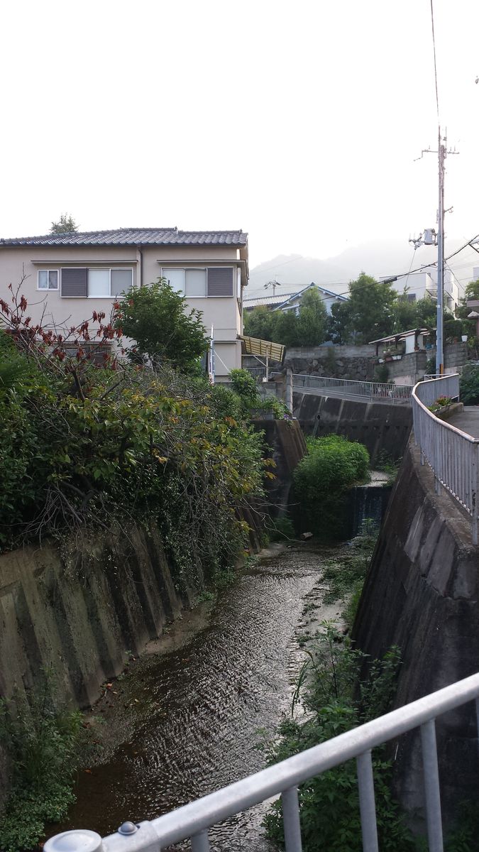 御神田川の源流をたずねて ジンジャモール瓢箪山 御神田川の源流をたずねて ジンジャモール瓢箪山