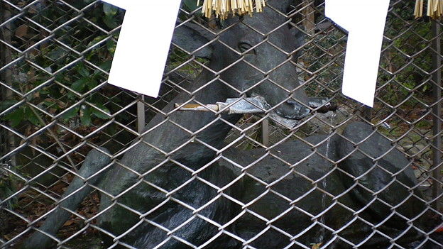 枚岡神社のなで鹿ファミリー ジンジャモール瓢箪山