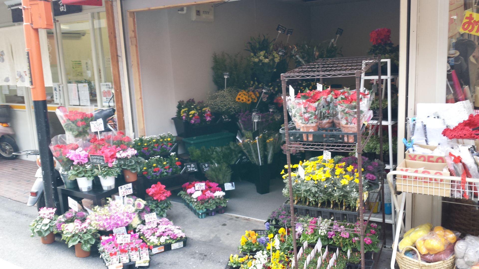 お花屋さんが 本日オープン ジンジャモール瓢箪山 お花屋さんが 本日オープン ジンジャモール瓢箪山