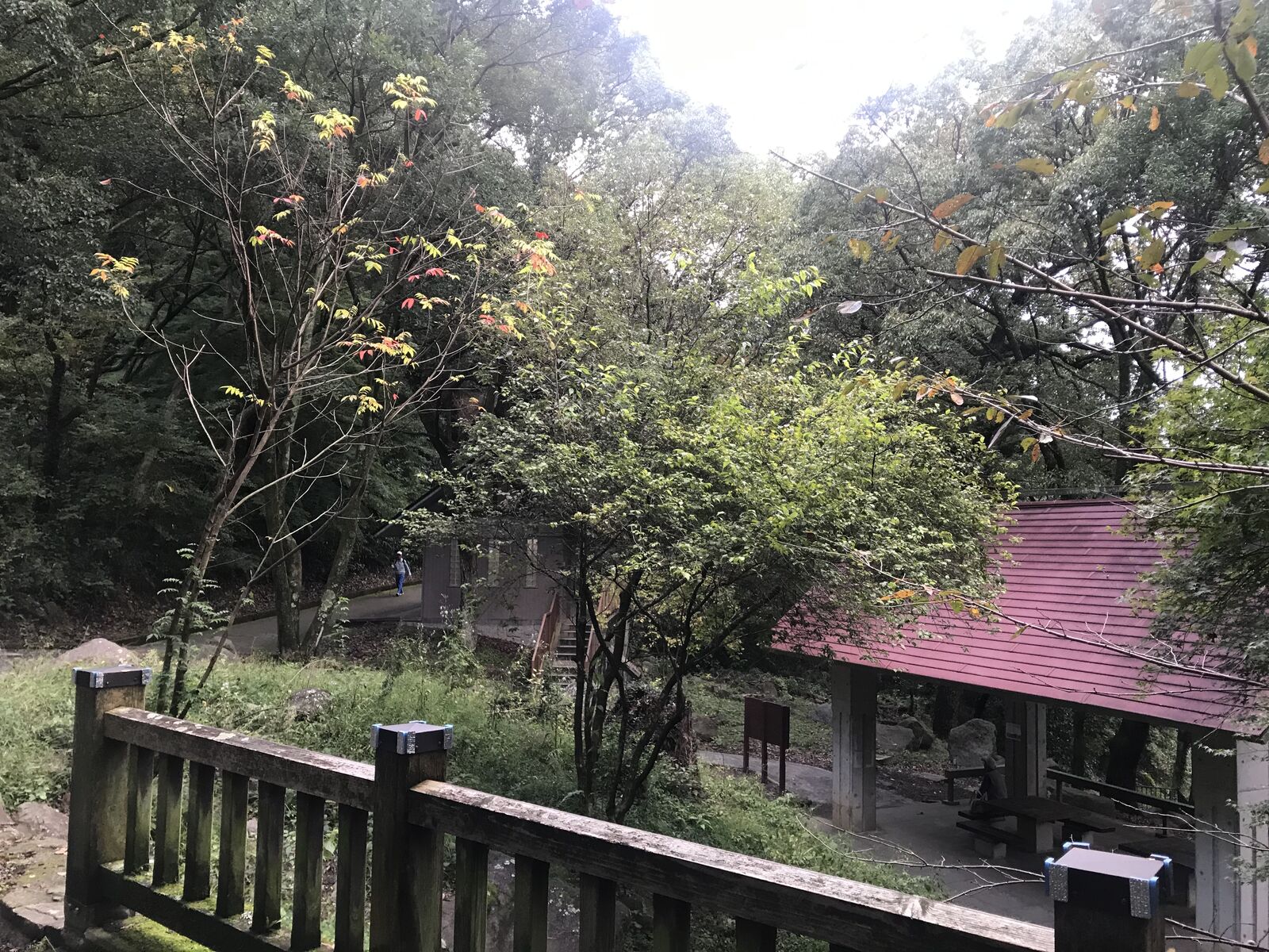 赤い葉青い葉 枚岡公園 ジンジャモール瓢箪山 赤い葉青い葉 枚岡公園 ジンジャモール瓢箪山