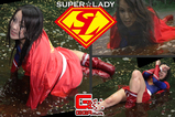 slhp_031