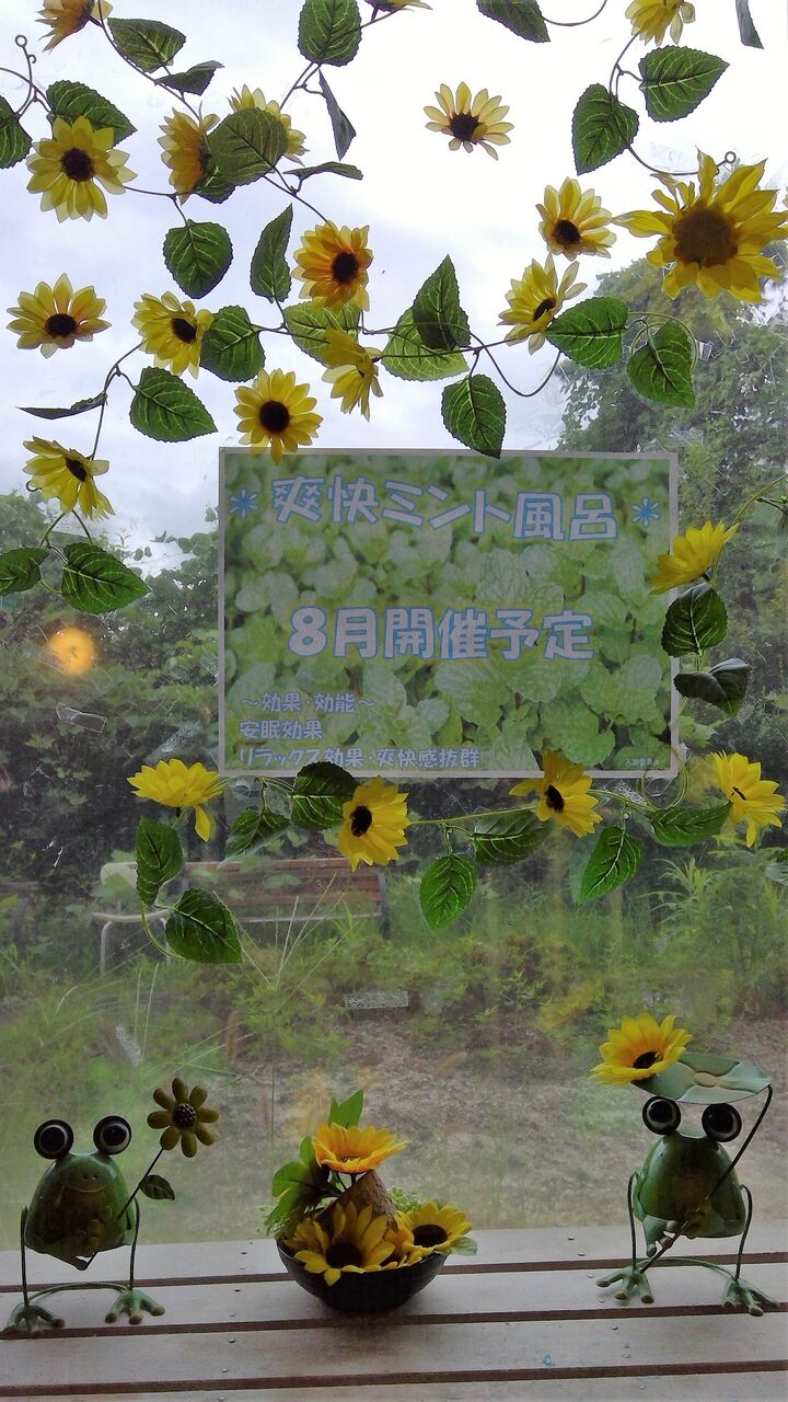 8月イベント風呂 介護老人保健施設 アルマ マータ スタッフブログ 8月イベント風呂 介護老人保健施設 アルマ マータ スタッフブログ