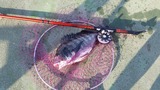 持ってる!!
