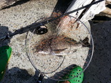 20140820_095143
