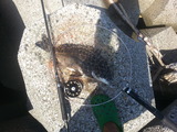 20140820_101303