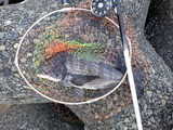 20140225_142057