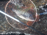 20140306_165126