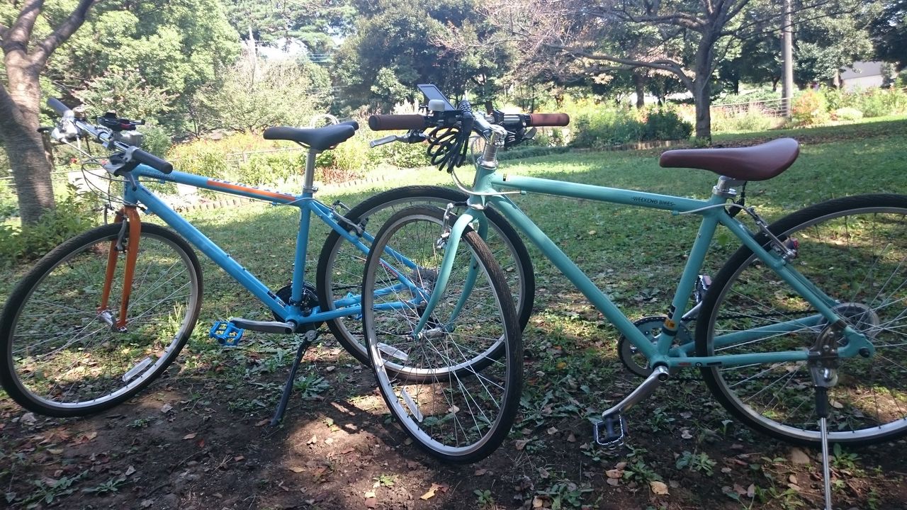 猫の毛も刈りたい : 息子と深大寺