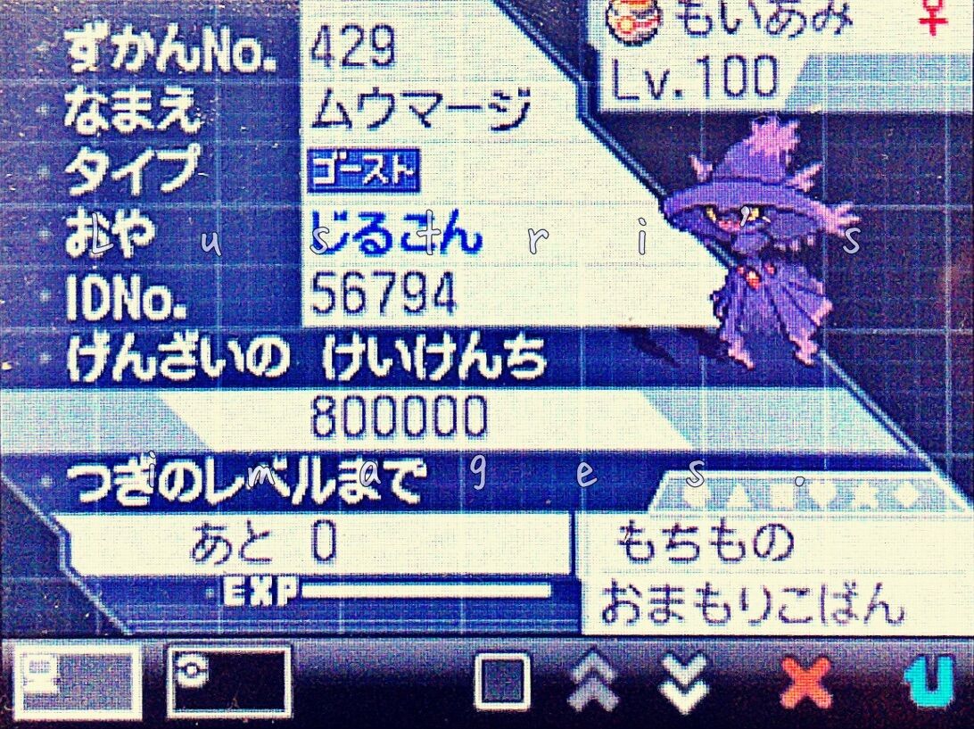 神ポケ員は語りたい １８ 黒の摩天楼という名の我が家について 神奈川大学ポケモンらぼ 公式ブログ