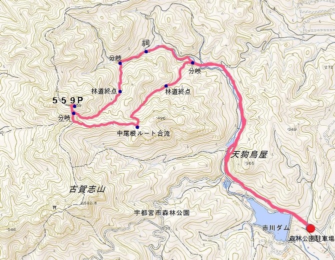 8 古賀志山 ５５９P 周回ルート図