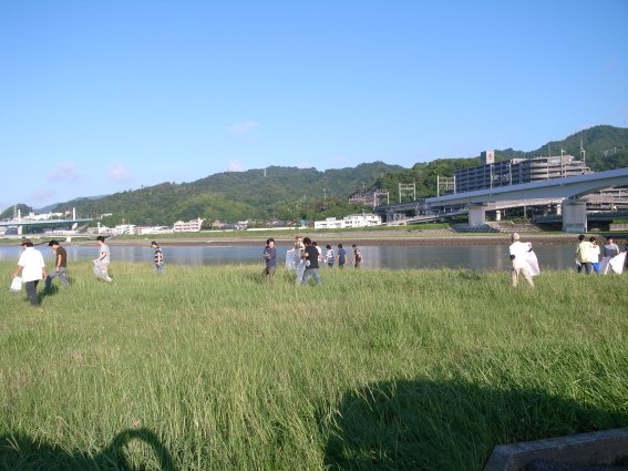 大会7
