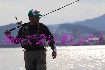 DPP_815