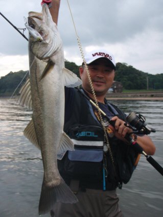 休日の過ごし方 Dragon Loop