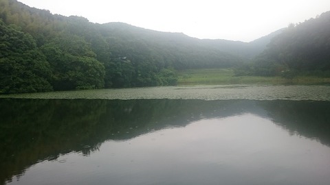 20190713_2