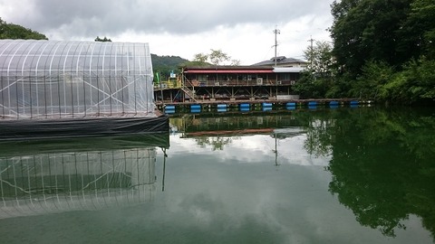 20190823_1
