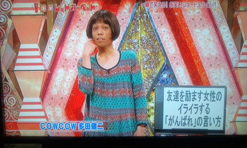 かうかう4