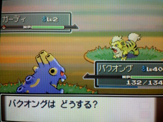 がーでぃ