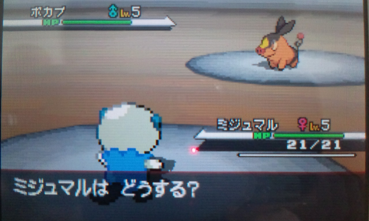 おうし屋さん 11年08月16日