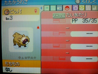 びっぱ