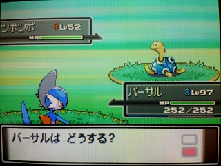 つぼつぼ