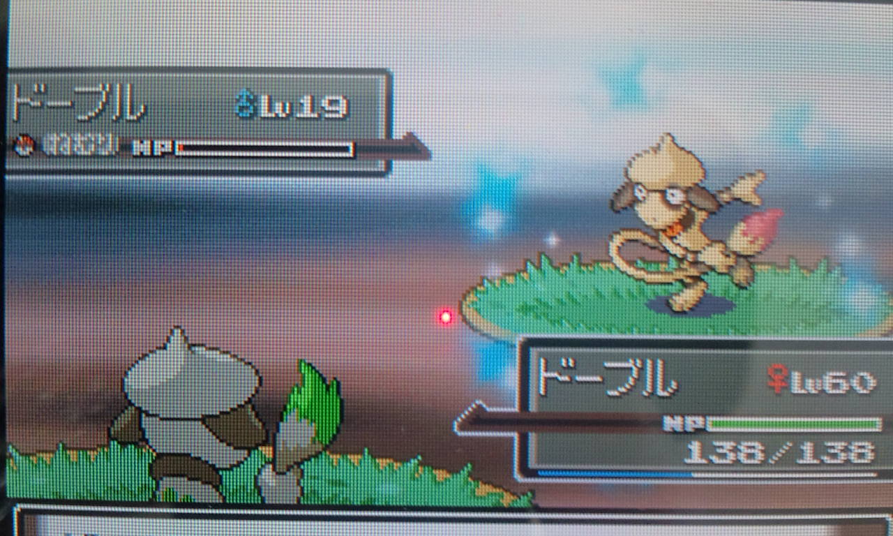 おうし屋さん ポケモン 復活