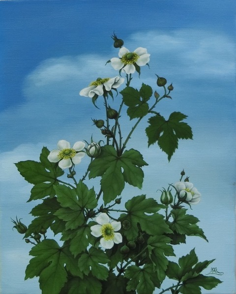 NagakoMorimachi_KiIchigo