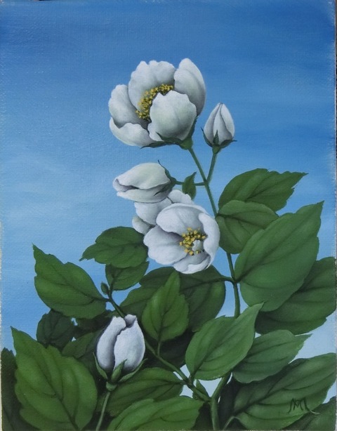 NagakoMorimachi_Baikautsugi