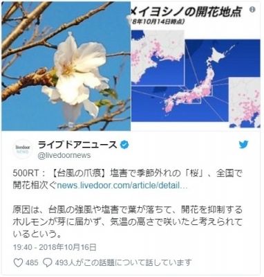 【異変】全国各地で季節外れの「桜」の開花報告が相次ぐ