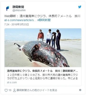 【東海地震】静岡と愛知にある遠州灘海岸に7メートルの「クジラ１頭」が打ち上げられる！