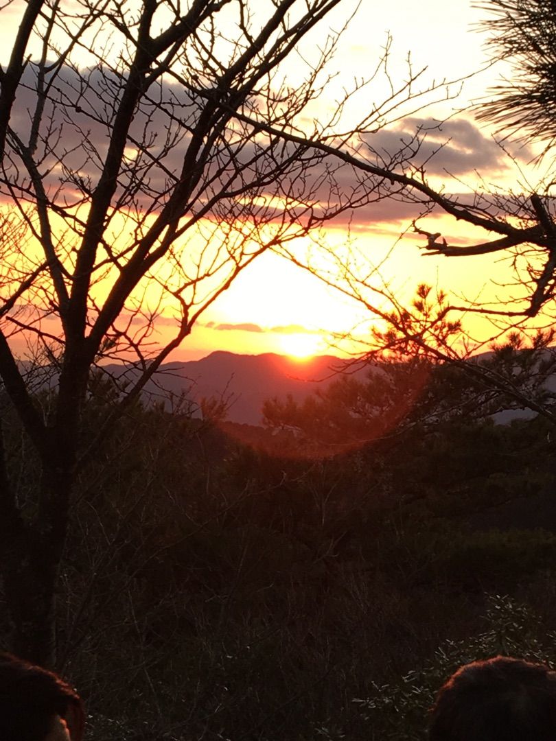 謹賀新年 ヒーリングについてと体感（追記あり）