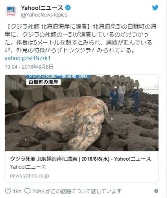 【珍しい】北海道白糠町の海岸にクジラが漂着！体長5メートル超…住民「こんなの見たことない」