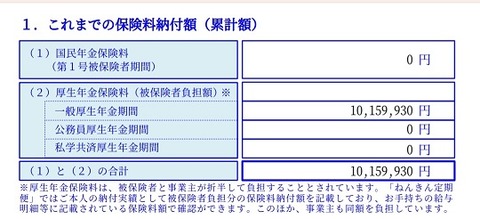 年金定期便2025年(ネット）②