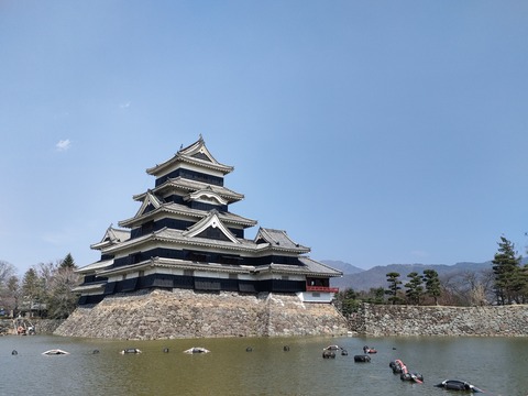 IMG20250327125737