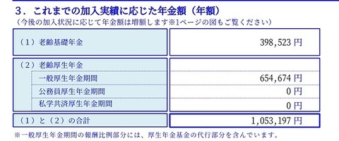 年金定期便2025年(ネット）①