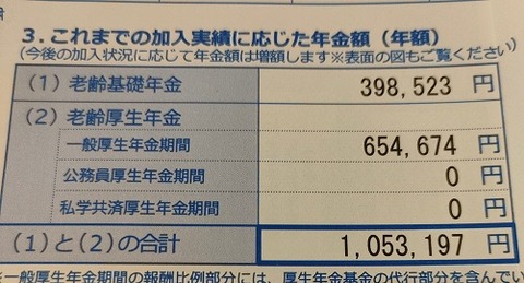 年金定期便2025年