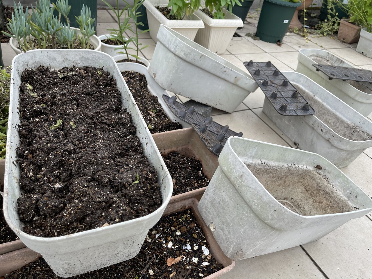 プランターの整理 屋上菜園 世田谷自転車生活