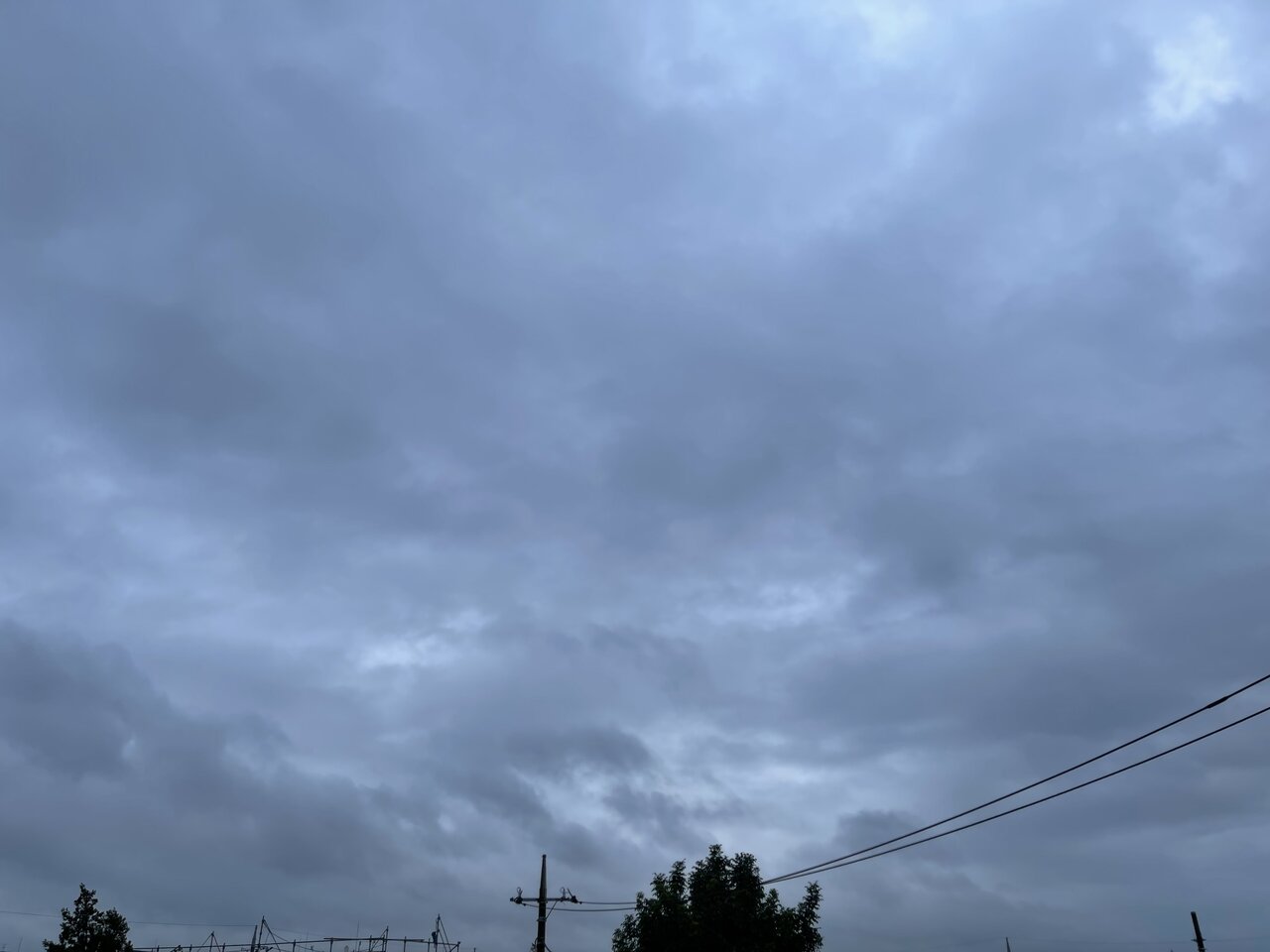 梅雨空のような朝 世田谷自転車生活