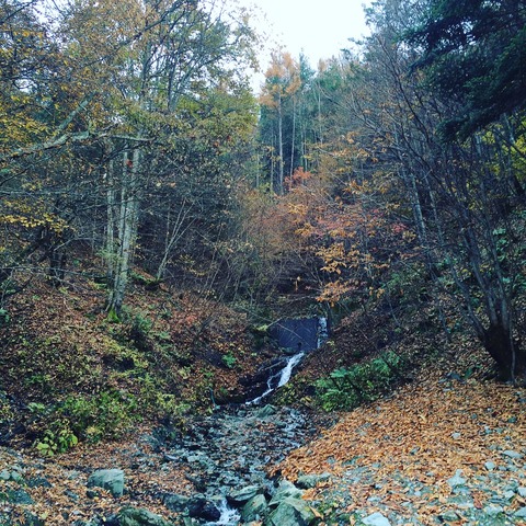 DE5F080A-ABF7-457A-9C53-882C448CB719