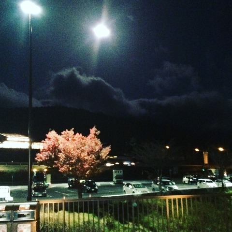 88F3D7AE-B042-47FA-8462-53E5C189BAE6