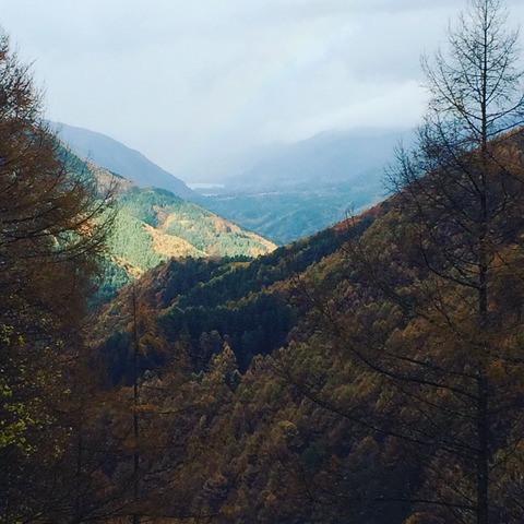 342943AC-DE5C-4956-8D19-9B7EC45FAA2B