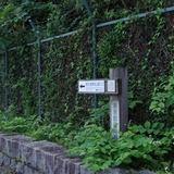 IMGP4793