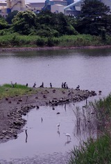IMGP4844
