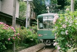 65900034