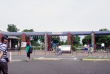 IMGP4893