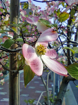 画像-0502