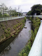 画像-0757