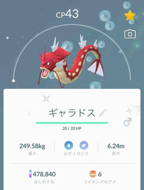 ポケモン ネオプレの熱狂的ファンですっ ポケモン ネオプレの熱狂的ファンですっ