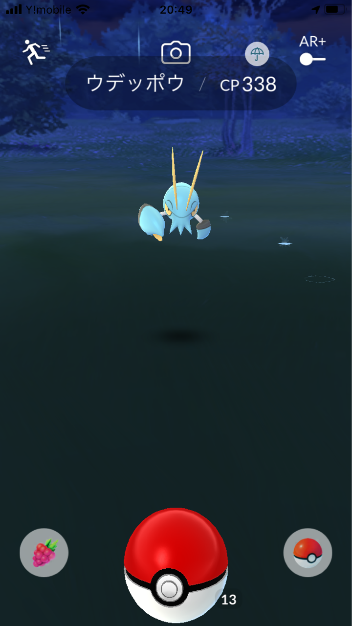 ポケモンxy ザングース ハブネーク ポケモンxy ザングース ハブネーク