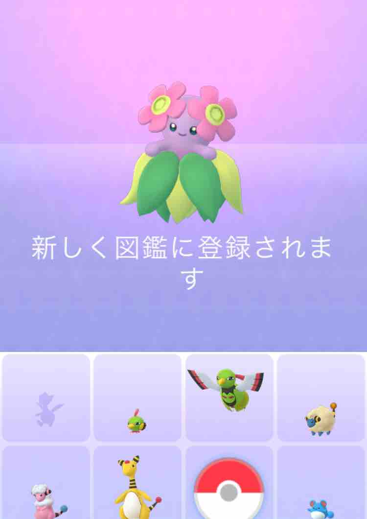 色違いポケモンget日記 バシャーモ キレイハナ ネオプレの熱狂的ファンですっ 色違いポケモンget日記 バシャーモ キレイハナ ネオプレの熱狂的ファンですっ