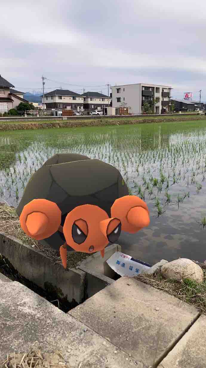 色違いポケモンget日記 イシズマイ ネオプレの熱狂的ファンですっ 色違いポケモンget日記 イシズマイ ネオプレの熱狂的ファンですっ